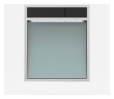 SANIT Betätigungsplatte LIS mit Beleuchtung Grundplatte Glas silbergrau Tastenpaar schwarz