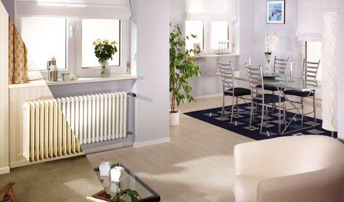 Purmo Delta Laserline fünfreihig Bauhöhe:600mm