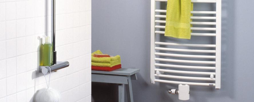 Purmo Badheizk&ouml;rper Flores CM