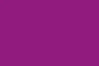 Crocus Nature (+25.00%)
