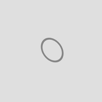 SANIT O-Ring 19 x 3 mm