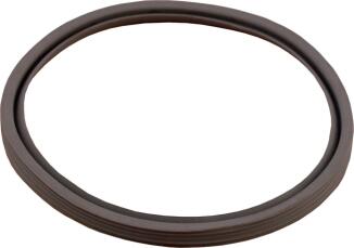 WOLF Dichtung (Satz a 5 Stück)