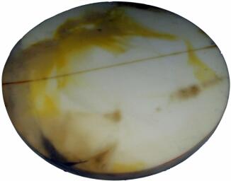 WOLF Wärmedämmung Deckel