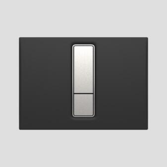 SANIT Betätigungsplatte INEO Bright 2CDuroplast schwarz / matt chrom