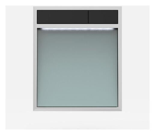 SANIT Betätigungsplatte LIS mit Beleuchtung Grundplatte Glas silbergrau Tastenpaar schwarz